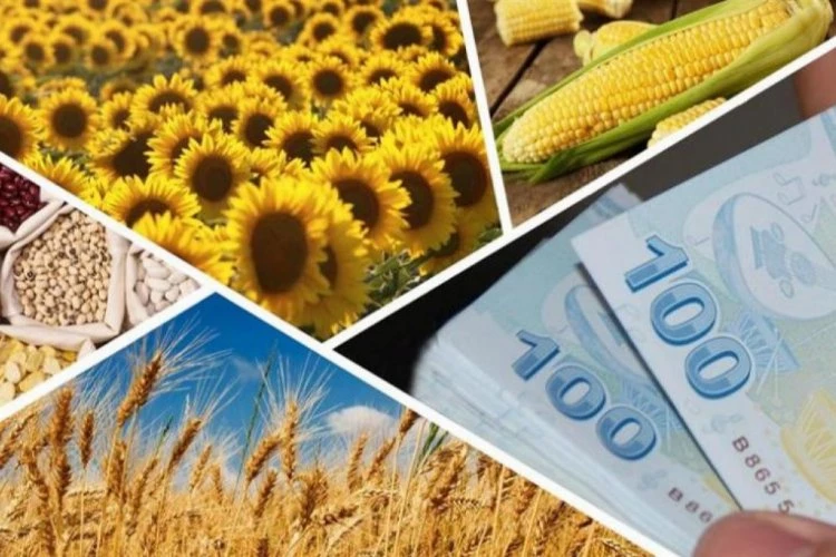 Türkiye’de tarım sektörüne destek