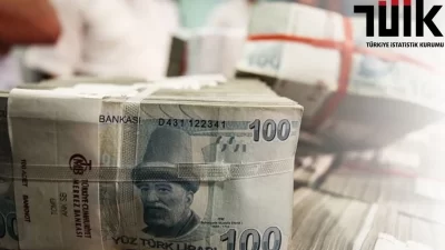 Türkiye İstatistik Kurumu (TÜİK) 2023 yılı devlet hesapları verisini açıkladı.