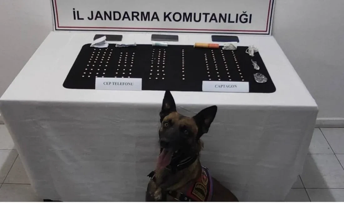 Afyonkarahisar'da düzenlenen uyuşturucu operasyonunda Jandarma ekipleri, 166 adet Captagon hap
