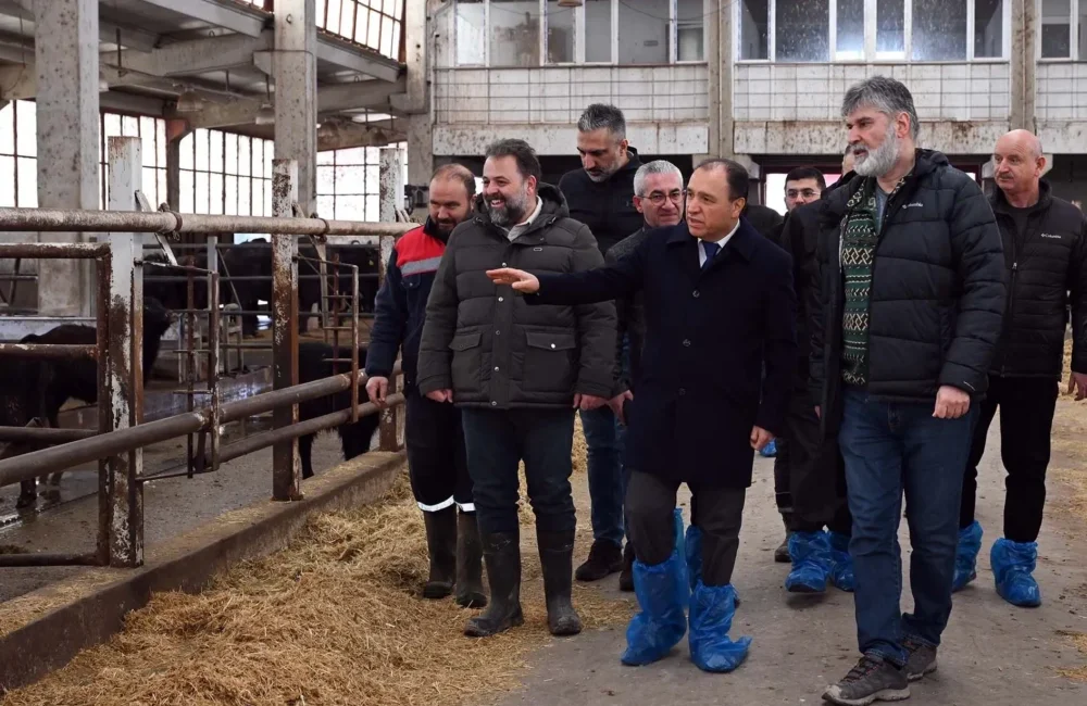 Afyon Kocatepe Üniversitesi (AKÜ), Veteriner Fakültesi Eğitim, Araştırma ve Uygulama