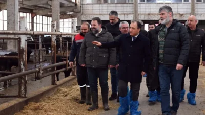 Afyon Kocatepe Üniversitesi (AKÜ), Veteriner Fakültesi Eğitim, Araştırma ve Uygulama