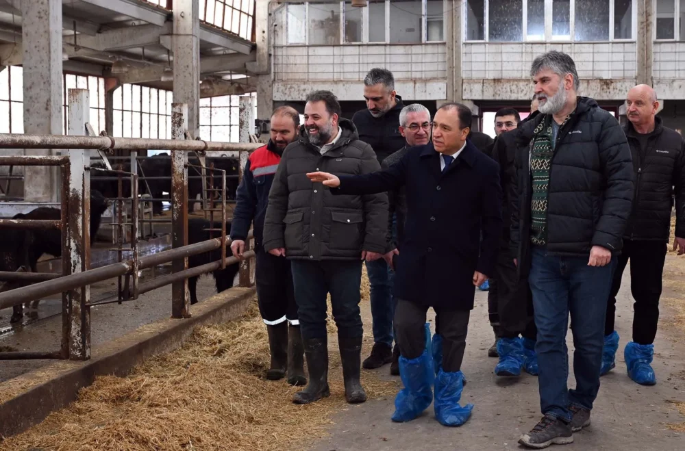 Afyon Kocatepe Üniversitesi (AKÜ), Veteriner Fakültesi Eğitim, Araştırma ve Uygulama