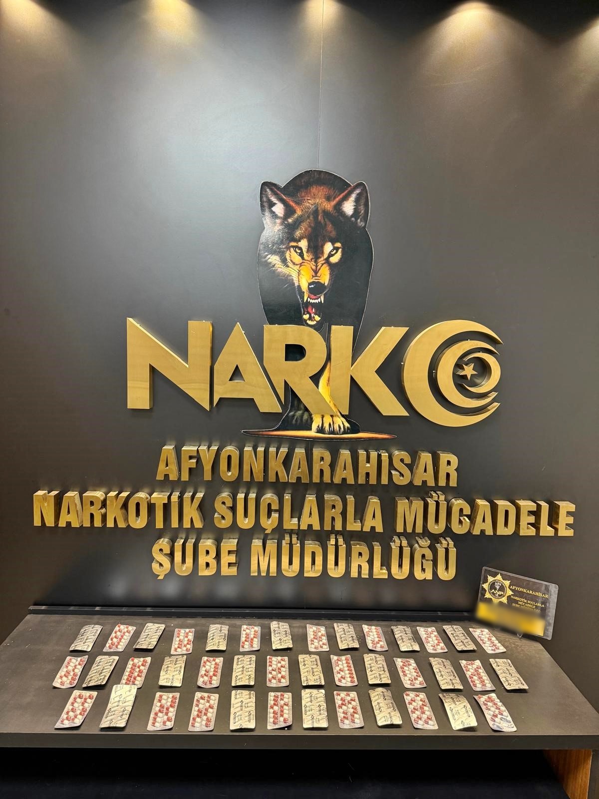 WhatsApp Image 2026 02 13 at 12.16.28