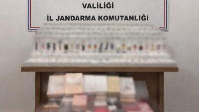 Afyonkarahisar İl Jandarma Komutanlığı ekiplerinin Sülümenli beldesinde düzenlediği operasyonda 665