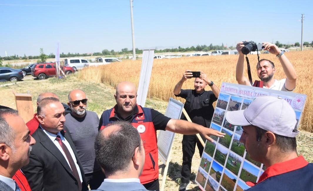 Çay'da Taner Ekmeklik Buğdayı İlk Hasatta Yüzleri Güldürdü
