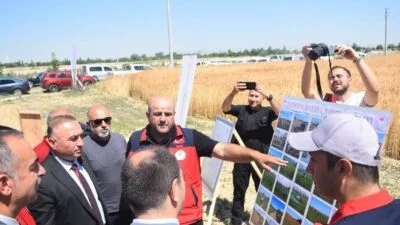 Çay'da Taner Ekmeklik Buğdayı İlk Hasatta Yüzleri Güldürdü