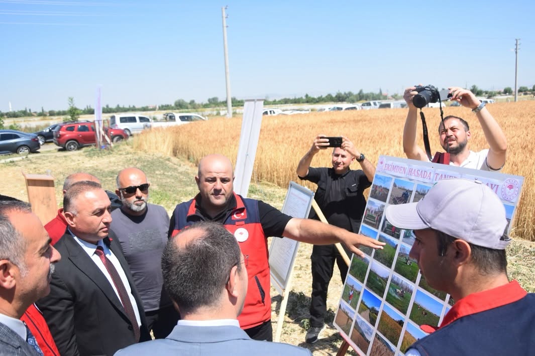 Çay'da Taner Ekmeklik Buğdayı İlk Hasatta Yüzleri Güldürdü