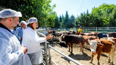 YÜNTAŞ Besi Çiftliği Açıldı: Üretimden Sofraya Yeni Dönem Afyonkarahisar Belediyesi