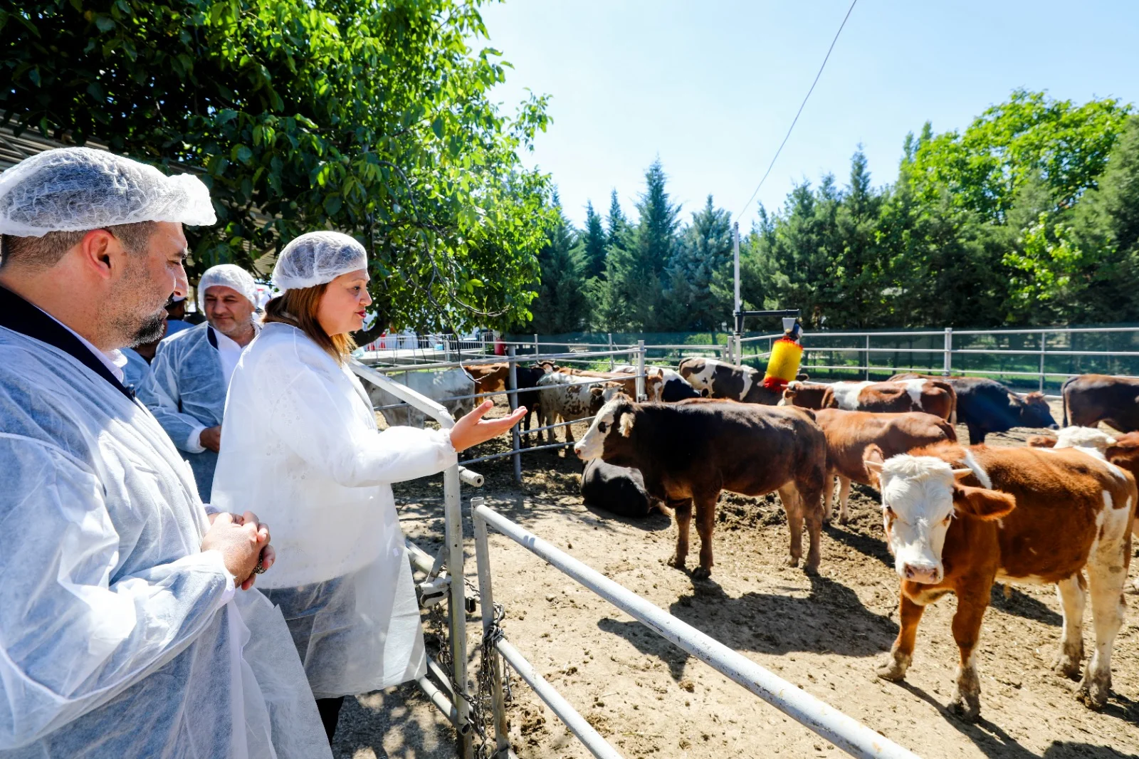 YÜNTAŞ Besi Çiftliği Açıldı: Üretimden Sofraya Yeni Dönem Afyonkarahisar Belediyesi