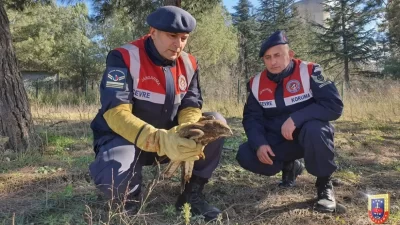 Jandarma Genel Komutanlığı, Türkiye’nin çeşitli bölgelerinde yaşanan zorlu kış şartları
