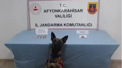 Afyonkarahisar İl Jandarma Komutanlığı tarafından yapılan resmi açıklamaya göre, Afyonkarahisar