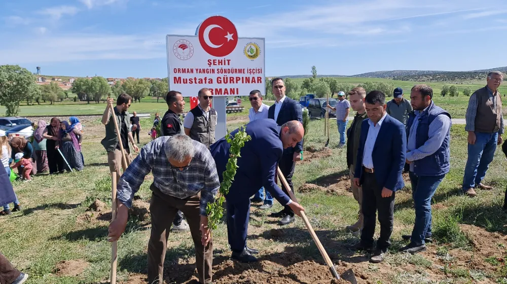 Şehit Orman Yangın söndürme