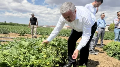 Afyonkarahisar Milletvekili İbrahim Yurdunuseven, sosyal medya hesabından yaptığı açıklamada, kornişon