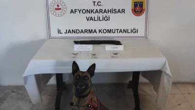 Afyonkarahisar İl Jandarma Komutanlığı tarafından Sinanpaşa ilçesine bağlı Tokuşlar köyünde