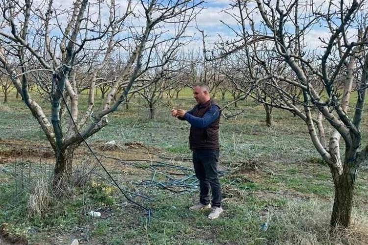 Devlet destekli tarım sigortalarında