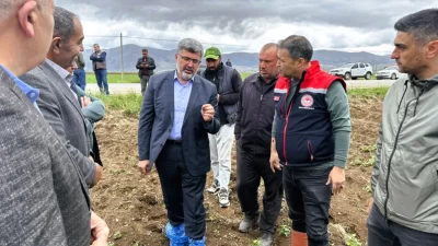 Afyonkarahisar Milletvekili Ali Özkaya, tarım alanlarını vuran zirai don felaketinin