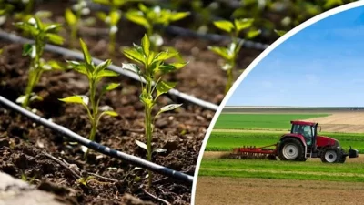 Tarım ve Orman Bakanı İbrahim Yumaklı, çiftçilere yönelik önemli bir