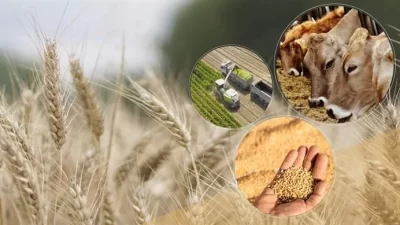 Türkiye genelinde tarımsal üretimi desteklemek amacıyla Tarım ve Orman Bakanlığı