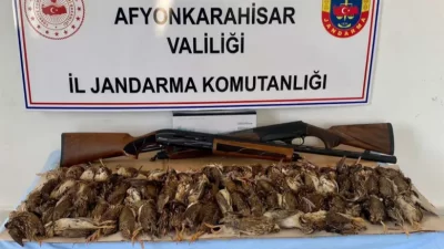 Afyonkarahisar Valiliği İl Jandarma Komutanlığı, Karaarslan Köyü Göller Mevkiinde yasa