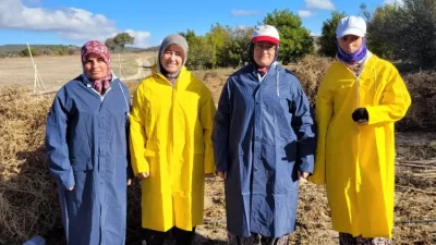 Brokoli Tarla Günü’nde Üreticilerin Talepleri Dinlendi Ekim ayının başında Sinanpaşa
