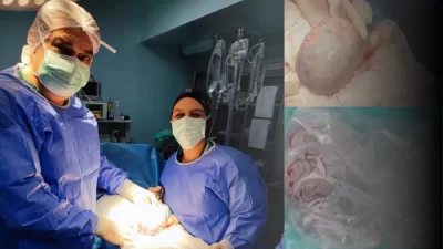 Türkiye’nin önde gelen tıp doktorlarından Prof. Dr. Haşmet Mesut Özsoy