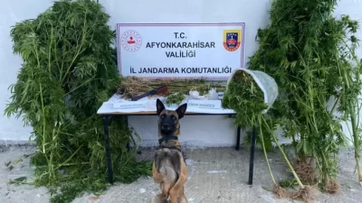 Afyonkarahisar’ın Hocalar İlçesi Yeşilhisar Köyü’nde gerçekleşen operasyonda, K.C. isimli şahıs